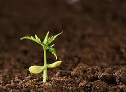 土壤監(jiān)測，土壤污染程度，深圳檢測機(jī)構(gòu)