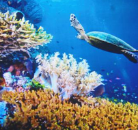 海洋生態(tài)檢測(cè)服務(wù)、環(huán)保檢測(cè)、各項(xiàng)微生物有害物質(zhì)指標(biāo)檢測(cè)